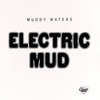 Muddy Waters - Tom Cat
