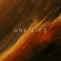 vibessmusic - One Life