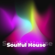 Soulful House - 101.ru