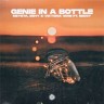 Genie In A Bottle, 2022