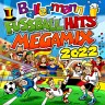 Ballermann Fussball Hits Megamix 2022, 2022