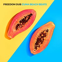 Freedom Dub - Cheap Thrills