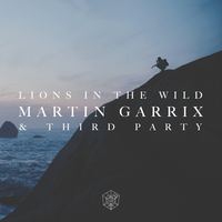 Martin Garrix & Third ≡ Party - Lions In The Wild