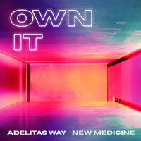 Adelitas Way & New Medicine - Own It