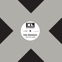The Prodigy - Everybody In The Place