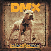 DMX - Dogs Out