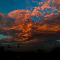 Andyxx - Morning