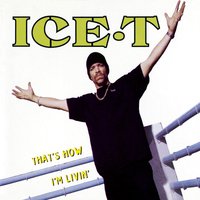 Ice T - Colors