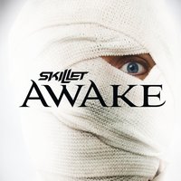 Skillet - Hero