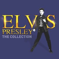 Elvis Presley - Please Don´t Drag That String Around