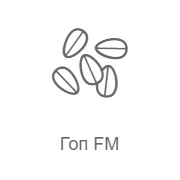 Гоп FM