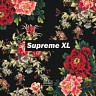 Supreme XL, 2019