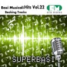 Basi Musicali Hits, Vol. 22 (Backing Tracks)