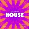 Crush On House, Vol. 1