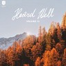 Heard Well Collection, Vol. 13, 2019