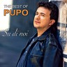 The Best of Pupo, 2014