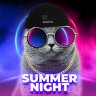 Summer Night, 2023