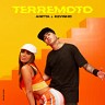 Terremoto, 2019