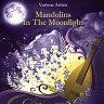 Mandolins in the Moonlight