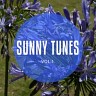 Sunny Tunes, Vol. 1, 2015