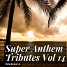 Super Anthem Tributes Vol 14