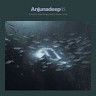 Anjunadeep 05, 2019