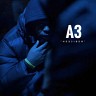 A3