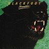 Blackfoot