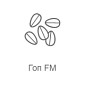 Гоп FM