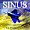 Sinus