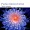Chopin: Waltz Op.69 No.2