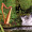 Green Grow the Rushes