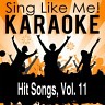 Hit Songs, Vol. 11, 2013