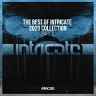 The Best of Intricate 2020 Collection, Pt. 2