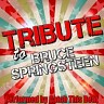 Tribute to Bruce Springsteen