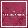 Future Spring (Beautiful Lounge and Chill out Anthems), Vol. 4