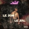 Le Son Ou Le Sal