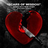 Scars Of Wisdom