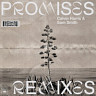 Promises