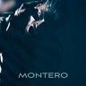 MONTERO (Call Me By Your Name)