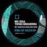 King Of Gales