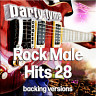 Rock Male Hits 28 - Party Tyme