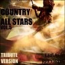 Country Allstars, Vol. 5, 2014