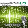 Basi Musicali Hits, Vol. 22 (Backing Tracks), 2010