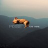 Fine Swine