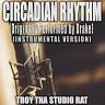 Circadian Rhythm