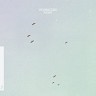 Flight