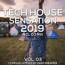 Tech House Sensation 2019, Vol. 3