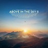Above in the Sky Part.II (Compiled by Max Denoise)