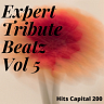 Expert Tribute Beatz Vol 5